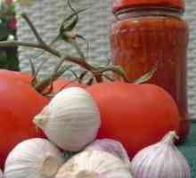 Adjika z paradajok a cesnaku - vynikajúce recepty