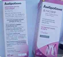 Ambrogen: Pokyn pre inhaláciu, dávkovanie, aplikáciu