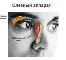 Anatómia a funkcia kanálikov a nosohltanu