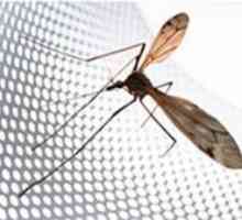 Sieť proti komárom na magnetoch na dverách - najlepšia ochrana proti komárom!