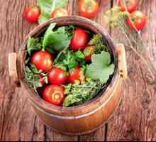 Recepty bábätka na paradajku v sudoch: ako správne soľ?