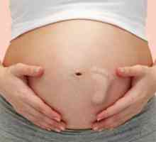 Tehotenstvo: 33 týždňov - to je, koľko mesiacov