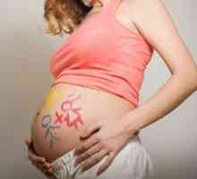 Tehotenstvo dvojčiat: znaky tehotenstva, kalendár týždňov