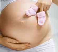 Tehotenstvo vývoj plodu týždenne, pocit
