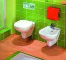 Bidet spolu s toaletnou miskou: výber sanitárneho inžinierstva "dva v jednom"