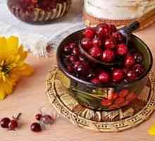 Lingonberry vosk na zimu: recepty na bobule s cukrom a bez varenia