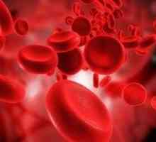 Čistenie krvi zo škodlivých látok v domácnosti, ľudové prostriedky