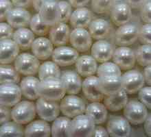Čo to je - kultivované perly