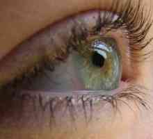 Čo je angiopatia sietnicových ciev oboch očí a ako sa liečiť