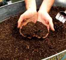 Čo je kompost a ako to urobiť sami