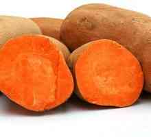 Čo je sladká zemiaková priadza a aké je jej použitie a poškodenie