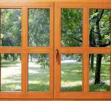 Drevené okenné rámy: prvky okien z dreva