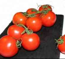 Domáca konzervácia paradajok na zimu: recepty polotovarov