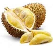 Durian cibetin - popis ovocia a jeho prospešné vlastnosti