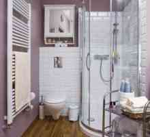 Sprchová kabína v malej kúpeľni: špecifikácie a fotografie
