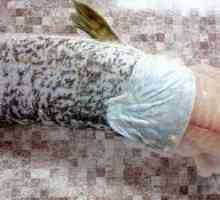 Plnené ryby: ako správne odstrániť štiepku