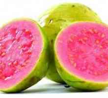 Guava ovocie: užitočné vlastnosti, kontraindikácie, pretože tam je guava