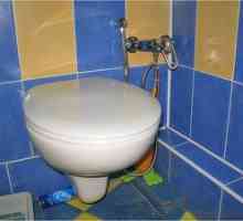Hygienická sprcha na toalete: výhľady a fotografie