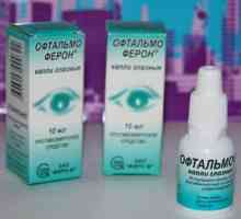 Očné kvapky oftalmoferón: použitie, cena, účinok lieku
