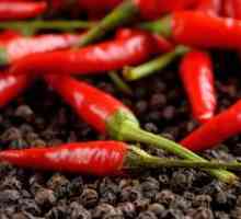 Horúca paprika a jej pestovanie na otvorenom teréne