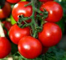 Charakteristika a opis výnosovej odrody rajčiaka eupator f1