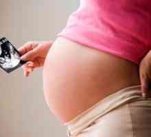 A tak, 39 týždňov tehotenstva predchodcovia práce v primiparous