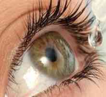 Indocolir kvapky: pokyny na používanie očných kvapiek