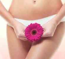 Intimný plast ženských genitálií: typy operácií