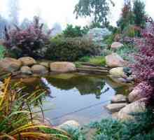 Umelý rybník v krajine, zariadenie, konštrukcia a výzdoba