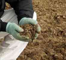 Použitie hnoja ako hnojiva