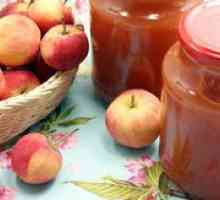 Jablká na zimu: spôsoby skladovania, dobré recepty na polotovary