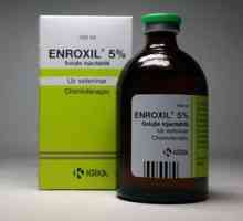 Enroxyl: návod na použitie vo veterinárnej medicíne