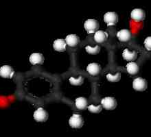 Estradiol: čo je to, opis a účel hormónu