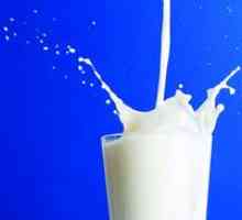 Čo sníva mlieko - snovou knihou "mlieko"