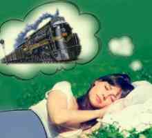 Prečo snívať o výlete do vlaku?