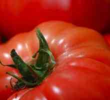 Ako uchovávať paradajky: spôsoby skladovania paradajok doma