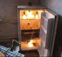 Ako vytvoriť inkubátor z chladničky s vlastnými rukami