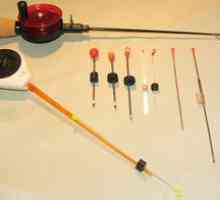Ako vybaviť zimnú rybársku tyč s roškom: inštalačné prvky
