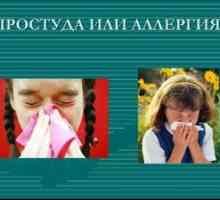 Ako rozlíšiť alergiu od nachladnutia u dospelých a detí