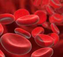 Ako zvýšiť hladinu hemoglobínu detí?