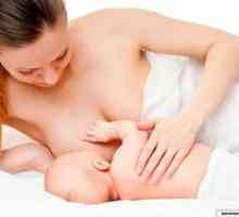 Ako správne aplikovať dieťa na prsia, ktoré sa vzťahuje na žľazy
