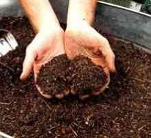 Ako urobiť kompost sám: kroky a tipy