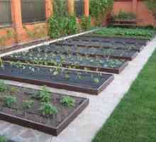 Ako správne vytvoriť zeleninové záhradné postele?