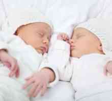 Ako porodiť dvojčatá: koncepcia dvojčiat alebo dvojičiek prirodzeným spôsobom