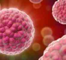 Ako prejsť analýzu HPV: liečba papilomavírusu u žien