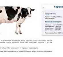 Ako zistiť bez mierky koľko váži priemerná krava