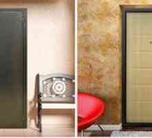 Ako si vybrať kovové predné dvere