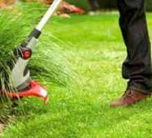 Ako si vybrať trávnik: typy, výhody a nevýhody