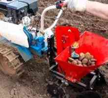 Ako pestovať zemiaky s motorovým blokom