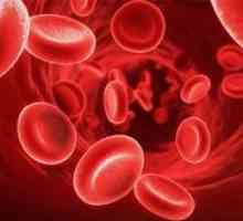 Aká je norma krvných doštičiek krvi žien a mužov?